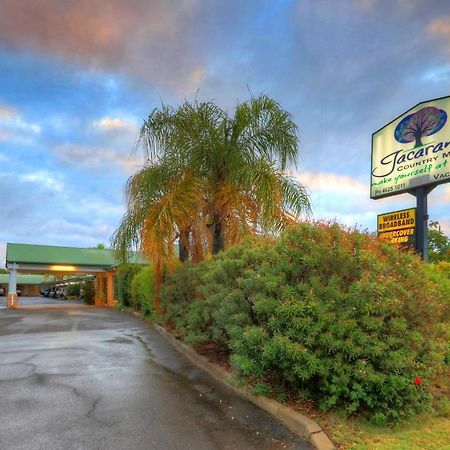 Jacaranda Country Motel Saint George Eksteriør billede
