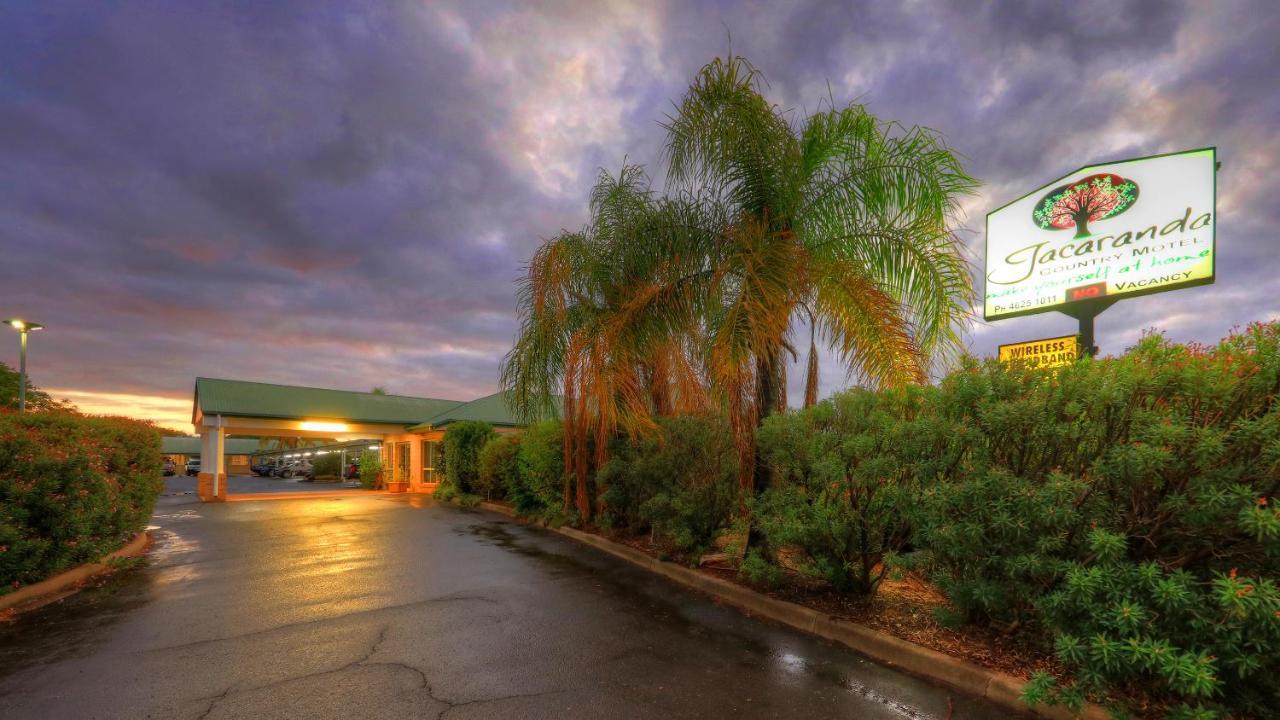 Jacaranda Country Motel Saint George Eksteriør billede